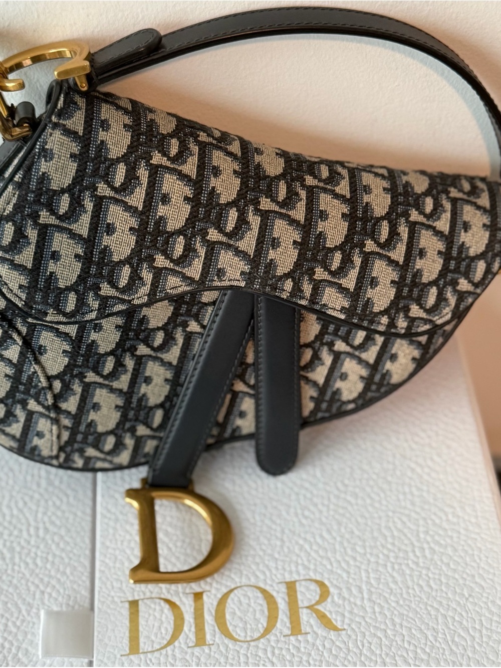 Dior Mini Oblique Saddle Bag